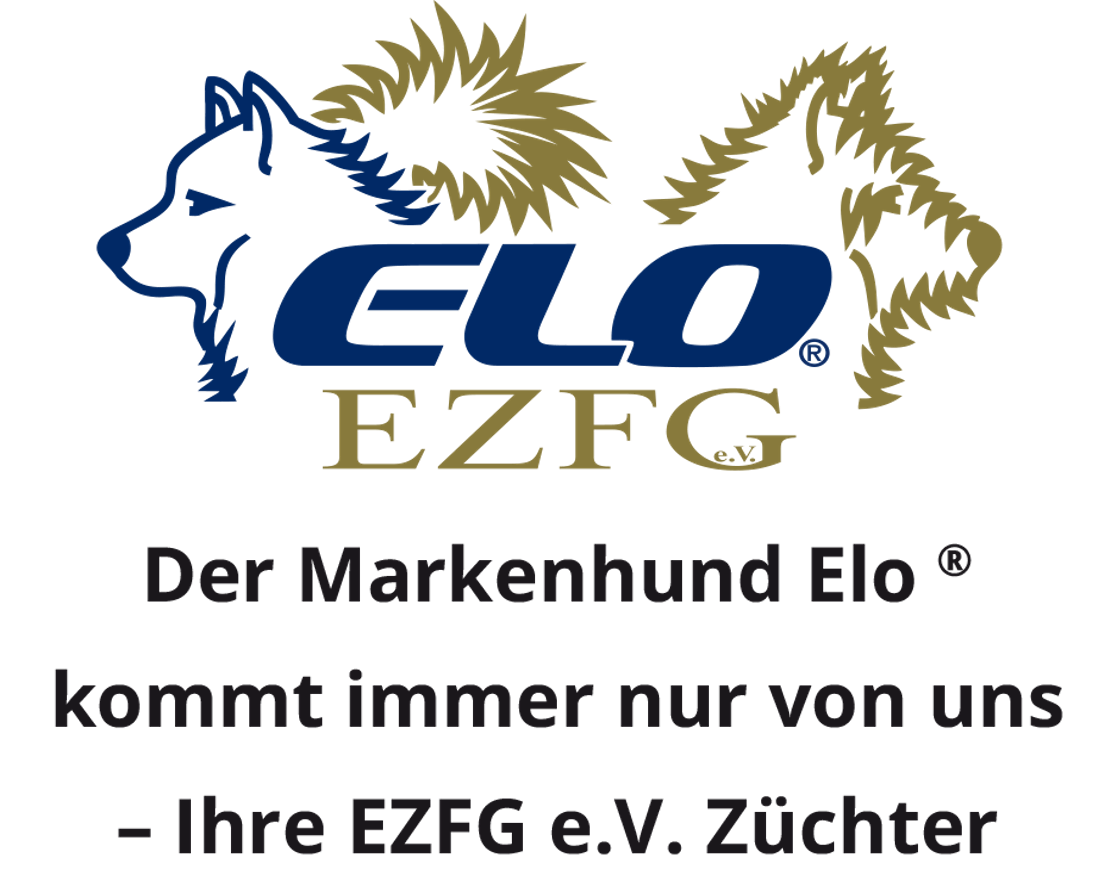 EZFG
